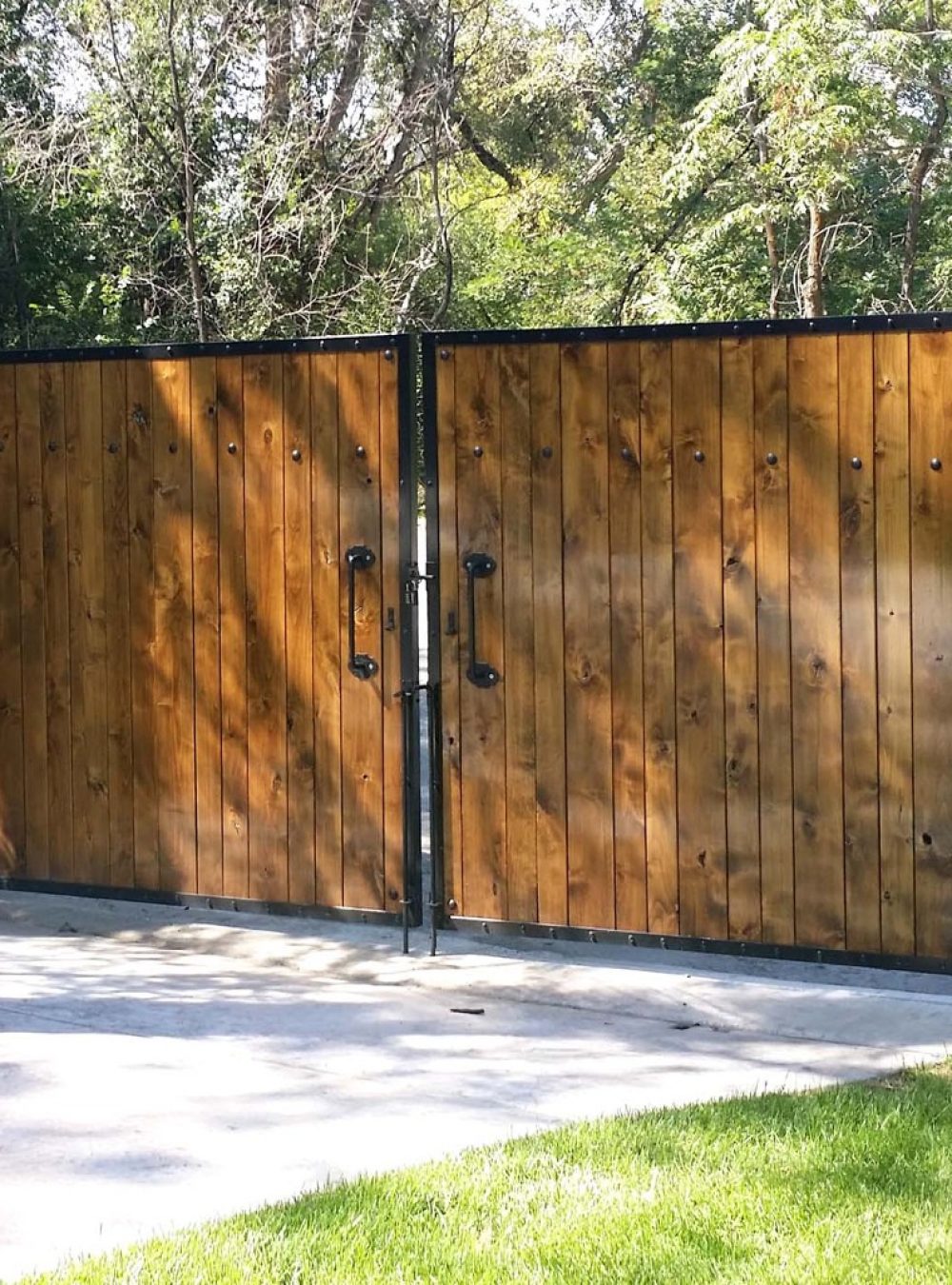 Steel Frame Alder Gate sm